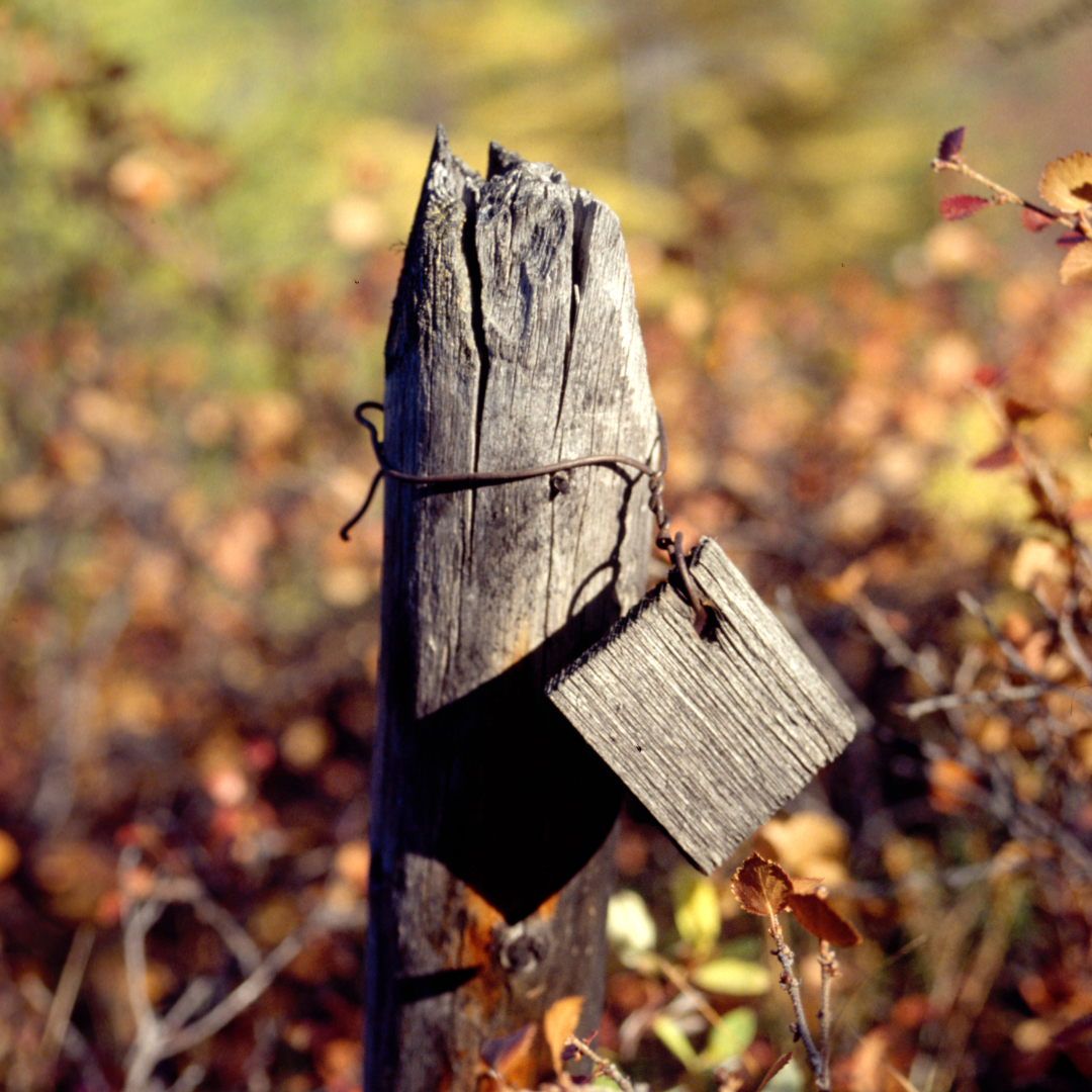 Zone der Unmenschlichkeit
