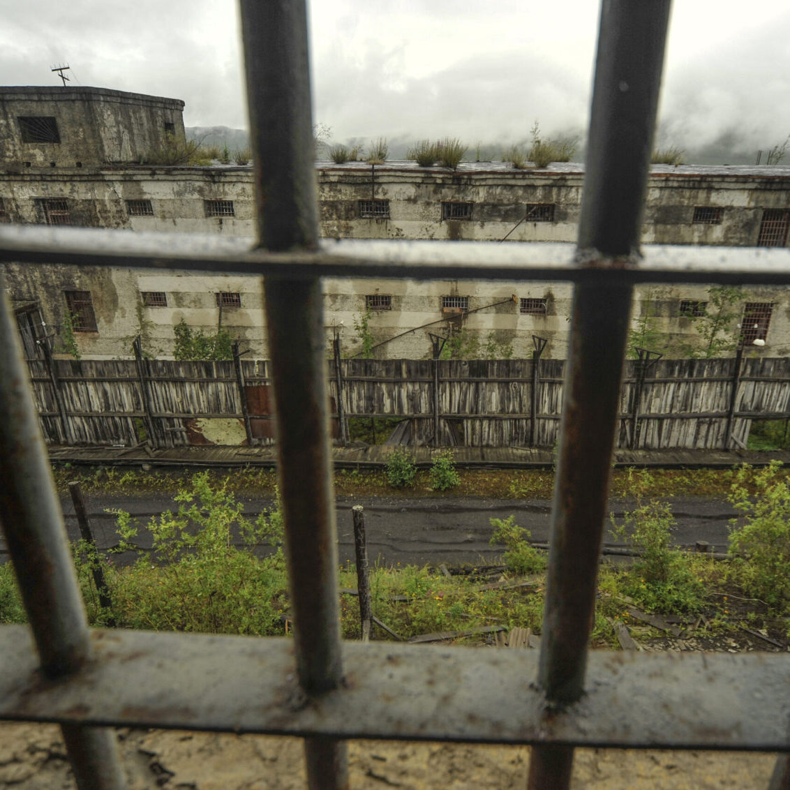 Finissage – Lesung und Gespräch "Briefe aus russischer Gefangenschaft"